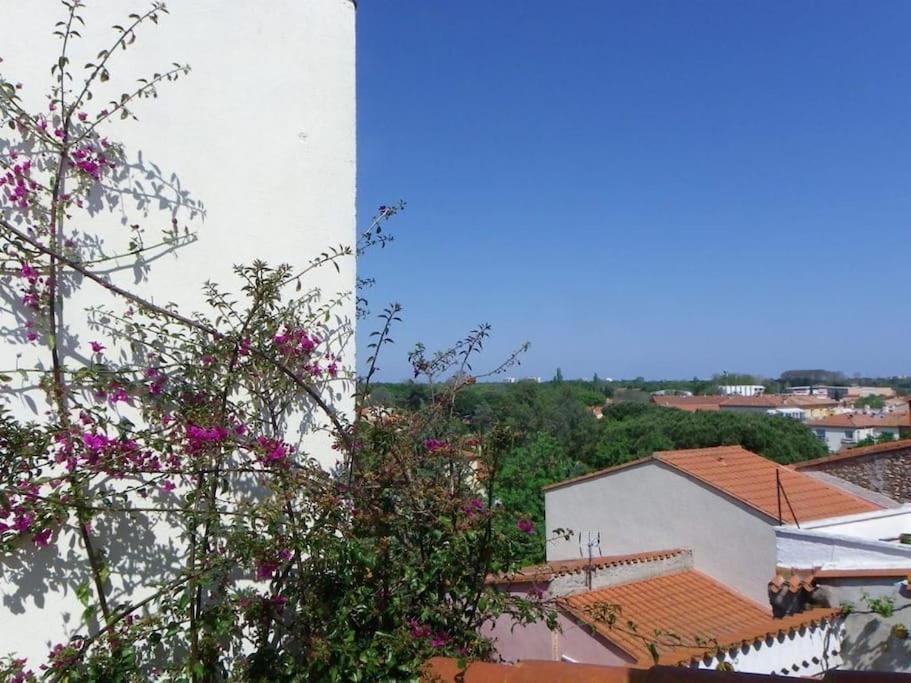 Rosella - Maison De Charme Au Coeur Du Village Argeles-sur-Mer Exterior photo